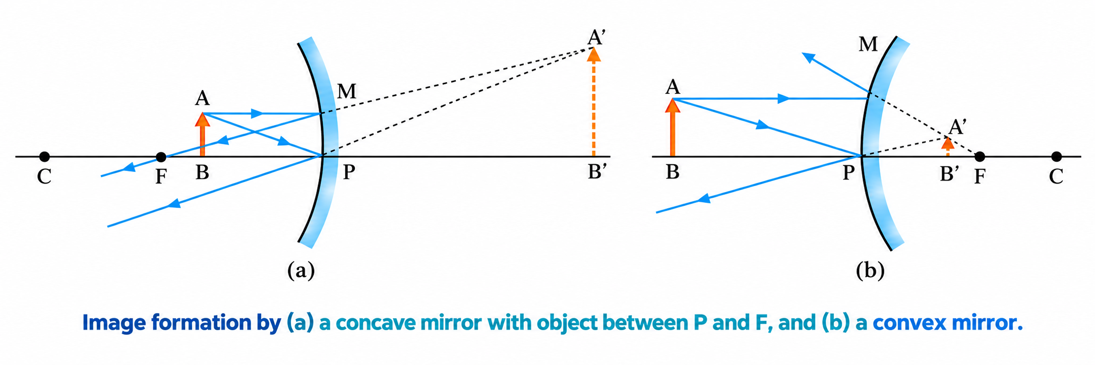 Figure 9.6: Image formation by (a) a concave mirror with object between P and F, and (b) a convex mirror.